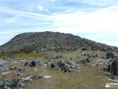 Pico Ocejón[Ruta Clásica]-Sierra de Ayllón;conocer amigos madrid sierra de guadarrama rutas parque n